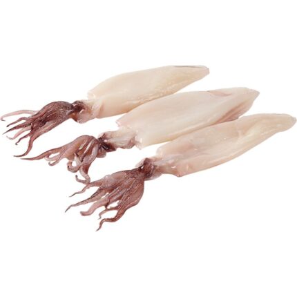 Squids / Calamares