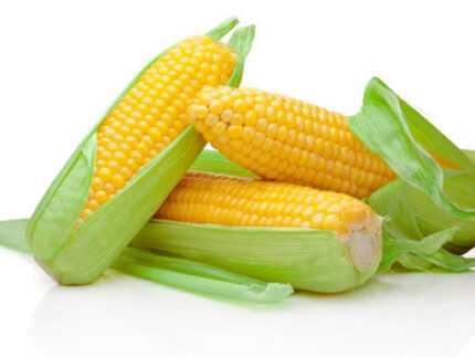 Corn in cob / Jojoto